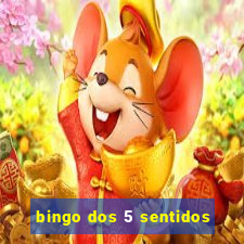 bingo dos 5 sentidos